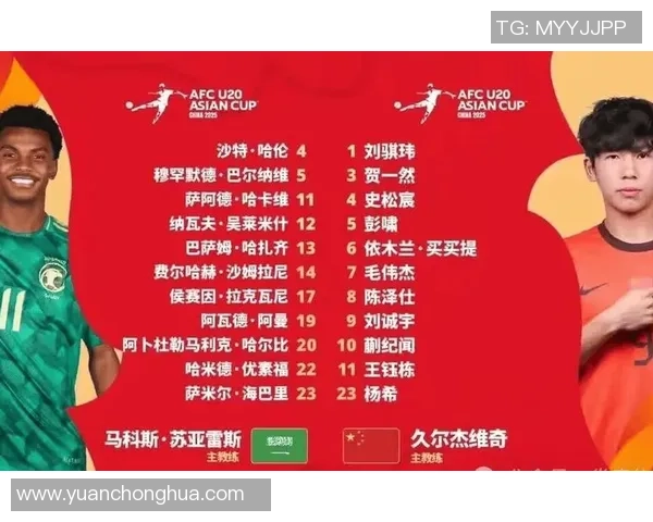 各大球星眼中的中国足球队表现与潜力分析