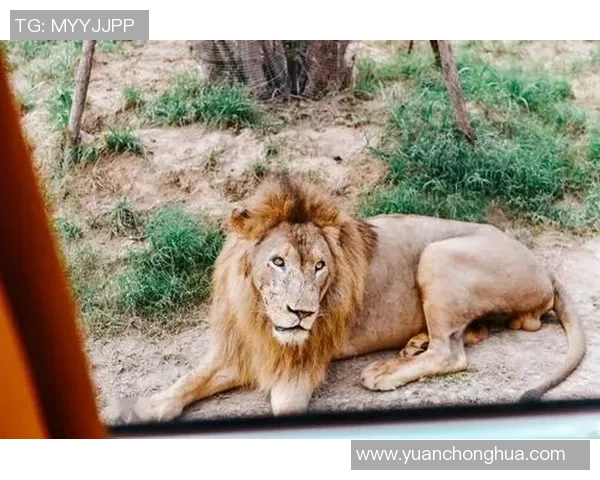 足球球星杨杨的故乡揭晓他究竟是哪座城市的骄傲